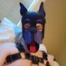 Pup Cato (@pupcatopdx) Twitter profile photo Pup Cato (@pupcatopdx) Twitter profile photo