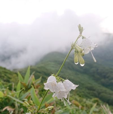 お酒大好き酒仙人