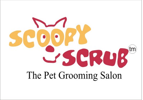 INDIA's leading PET SHOP/SALON chain PET BYTES & SCOOPY SCRUB. 12 brnchs in Delhi/NCR. Affiliate in THAILAND & Franchise in MAURITIUS. 49 outlets n growing!