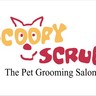 SCOOPYSCRUB's profile picture. INDIA's leading PET SHOP/SALON chain PET BYTES & SCOOPY SCRUB. 12 brnchs in Delhi/NCR. Affiliate in THAILAND & Franchise in MAURITIUS. 49 outlets n growing!