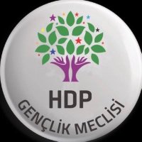 HDP Amed Gençlik Meclisi (@hdpamedgenc3) 's Twitter Profile
