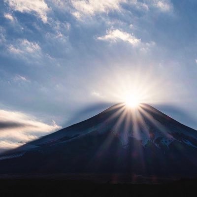 pog492232713's profile picture. 専業主婦🙋‍♀️/トレード歴1年半/子育てしながらお家でコツコツトレードしてます/愛犬が可愛くて仕方がない✨ 毎日一歩ずつ進めて行ったらきっと未来が明るくなると思って過ごしています😊🌸