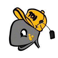 Turtle Connection (@turtleconnft) 's Twitter Profile