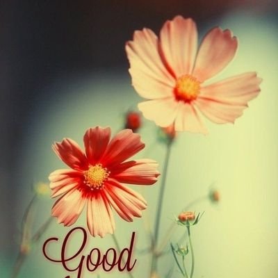 AshokMa40361895's profile picture. Hiiii