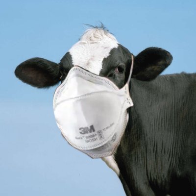 UC Davis students & instructors

UC students, faculty & workers all deserve respirators & HiFi masks free of charge.

Venmo/CA: MaskBlocUCDavis
DM to help 😷🐮