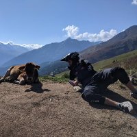 Julian McGinnis (@jqmcginnis) 's Twitter Profile Photo