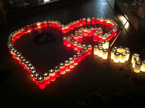 madarabbit's profile picture. 週末のみ斑尾に出没する兎。