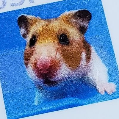yukiakiさんのプロフィール画像