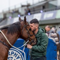 Josh Clark (@josh_clark1108) 's Twitter Profile