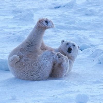 ZON_JN's profile picture. 지누뉴 앓이 🖤🤍
까올리 쏜쏜 💙🧡