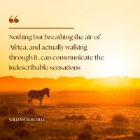 Anne Hulley (@annehulley4) 's Twitter Profile