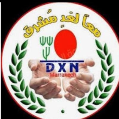 DXNGROUP1 Profile Picture