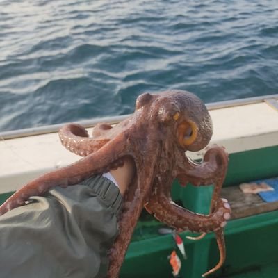 tk827tk's profile picture. 坂本真綾さん(IDS会員)とhardstyleとhardcoreと日本酒と釣りと山登りの備忘録