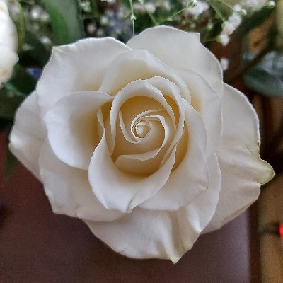 Bonne chère, vins, voyages/croisières, jazz et classique. / Food and wine, travel/cruises, jazz and classical music.