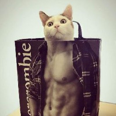 Van37252928's profile picture. 