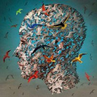 أبو حنين (@abohaneen21) Twitter profile photo