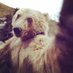 Techno bear (@technobear15) Twitter profile photo Techno bear (@technobear15) Twitter profile photo