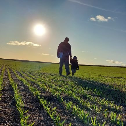 Ing. Agronomo
Desarrollo Tecnico de Mercado BASF
🚩Sudeste Bs As