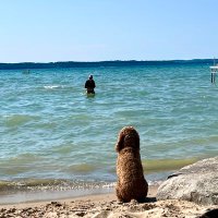 Elizabeth Speck (@elizabethspeck) 's Twitter Profile