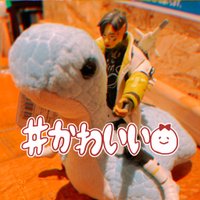 inui🐶 (@inui_323) Twitter profile photo