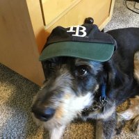 Baseball is still fun (@herrlizzie) 's Twitter Profile Photo Baseball is still fun (@herrlizzie) 's Twitter Profile Photo