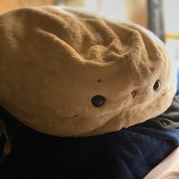 Yukimura (@yukimur25088218) 's Twitter Profile