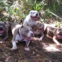 EUSKALMAMBA , PEACE AND WEED, 2K23 (@xinuea) 's Twitter Profile Photo