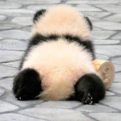 KKhhmmaammaa's profile picture. 機械エンジニア。 趣味:筋トレ、ヨガ、瞑想、ドラム、英語の勉強、ボイトレ。 TOEIC 700点、目標800点