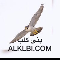 بني كلب (@saleemalklbi) Twitter profile photo