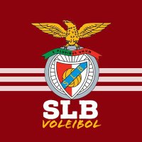 SLBVoleibol(@SLBVoleibol) 's Twitter Profile Photo