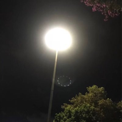 Ryanhuangdec29's profile picture. 