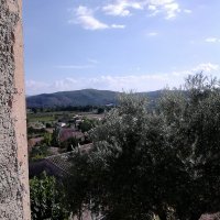julo pierro (@pierrojulo) 's Twitter Profile