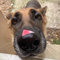 SyaputraApril's profile picture. Присоединяйся к клубу Slottica и получай свои 50 FreeSpins !