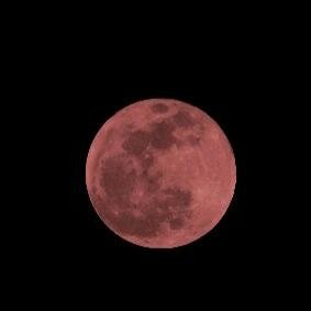 BekiSoler's profile picture. 