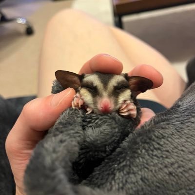 sshikiliss's profile picture. ☻