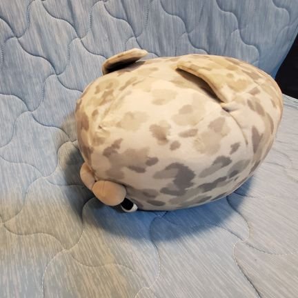 tokiobrothers's profile picture. 北大3年
のぞみ幼稚園→福池小→西大和32→北大水産札幌キャンパス→函館キャンパス
増殖生命