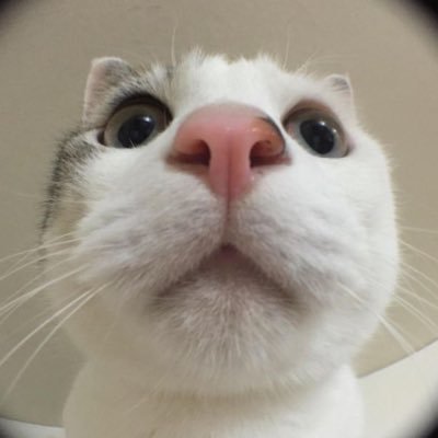 소록さんのプロフィール画像