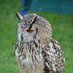 SherborneCastleCountryFair (@sherb_ctryfair) Twitter profile photo SherborneCastleCountryFair (@sherb_ctryfair) Twitter profile photo