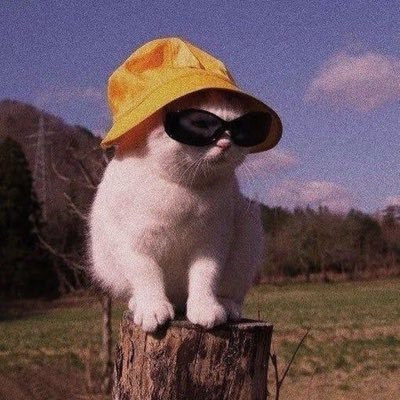 originalsagnik's profile picture. “Technology is best when it brings people together.” CEO, Developer at @tezucka (A new startup started by my team), CMO @DogegramHQ Top 5 team at Teen Tech SF