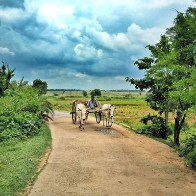 MoAsjad11's profile picture. mohammad ammar