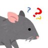 chewchewmouse's profile picture. D3👩‍🎓 学術振興会特別研究員DC-2 (2024-)実験協力者は神経変性疾患モデル🐭 メンタル強めまれに弱め 寝たらなんでもリセットできる 研究に関する日常の呟き 研究してる方と繋がりたいです