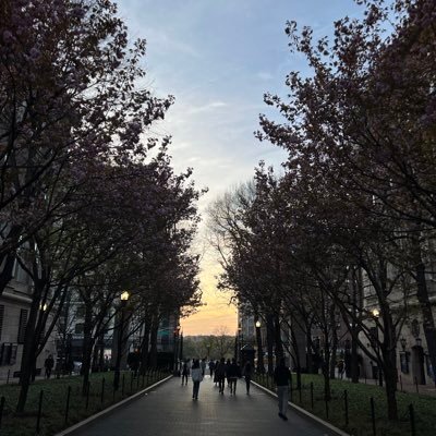 connorsations's profile picture. Looking for a little bit of hope these days | Waiting for the break of day