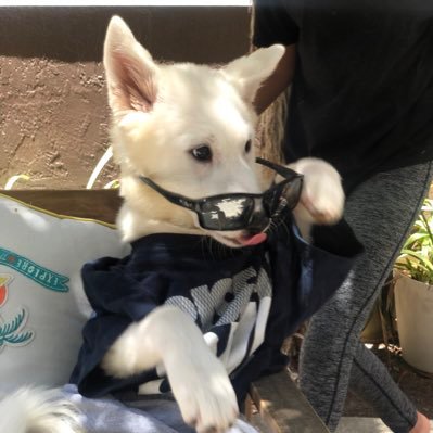 kennyhut10's profile picture. Cable Guy!!!!