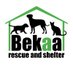 Bekaa Rescue and shelter( Lebanon) (@RawaaMady) Twitter profile photo