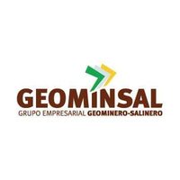 Grupo Empresarial Geominsal (@geominsal) 's Twitter Profile