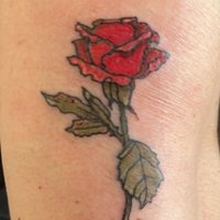 Rose Reeve 🏁♀️ 💚🤍💜 KPSS (@rosereeve) 's Twitter Profile