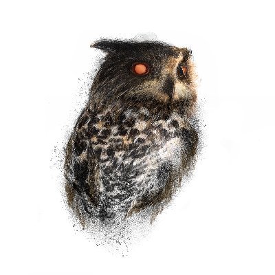 Artificial Owl Recordings is a record label based in New York. A project that is focused on ambient and experimental electronic music around the universe.  🦉