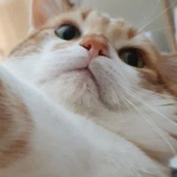 tugbatt (@tugbatt2) 's Twitter Profile