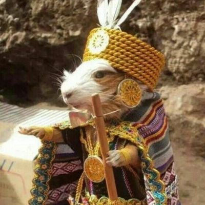 Uhm soy tranquilo, bueno, más o menos. A veces escribo poesía, no sé si están bien, pero hago lo que puedo y me gusta tocar guitarra. Nada más. :)