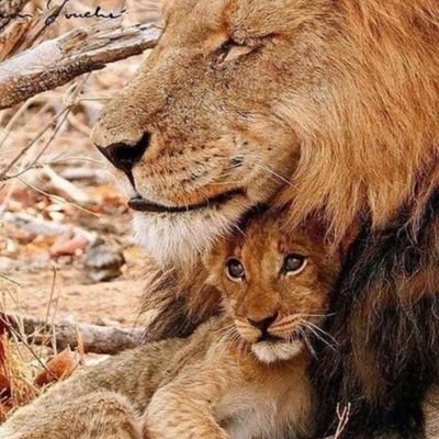 upcoming Journalist...MANU fan....Simba SC fan